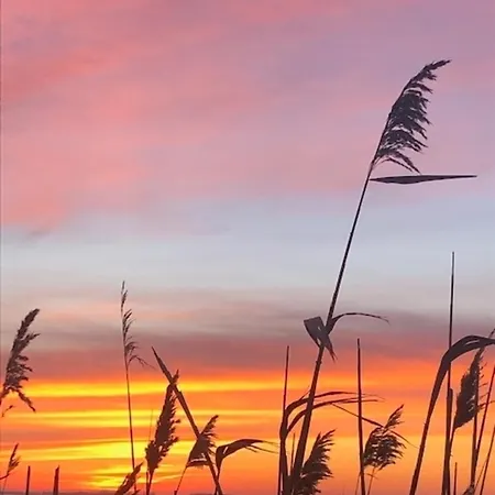 Sehnsuchtsort Zingst